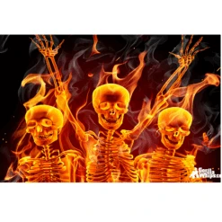 Party Skulls 12x18 Pocket Whip Flag For 1/4" & 5/16" Whips