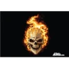 Flames Skull 12x18 Pocket Whip Flag For 1/4" & 5/16" Whips