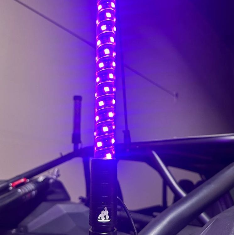 Gorilla Whips -Gorilla Whips 4f01df635c46934cb5a28a205e2247fc