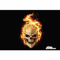 Flames Skull Flag 12x18 Grommet Whip Flag