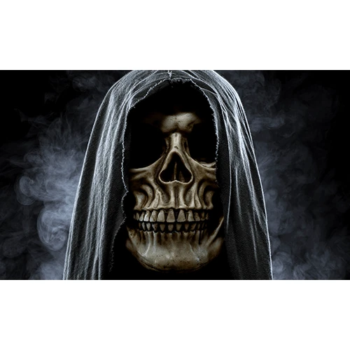 Robe Skull 2x3 Grommet Whip Flag 4 Robe Skull 2x3 Grommet Whip Flag - Image 2