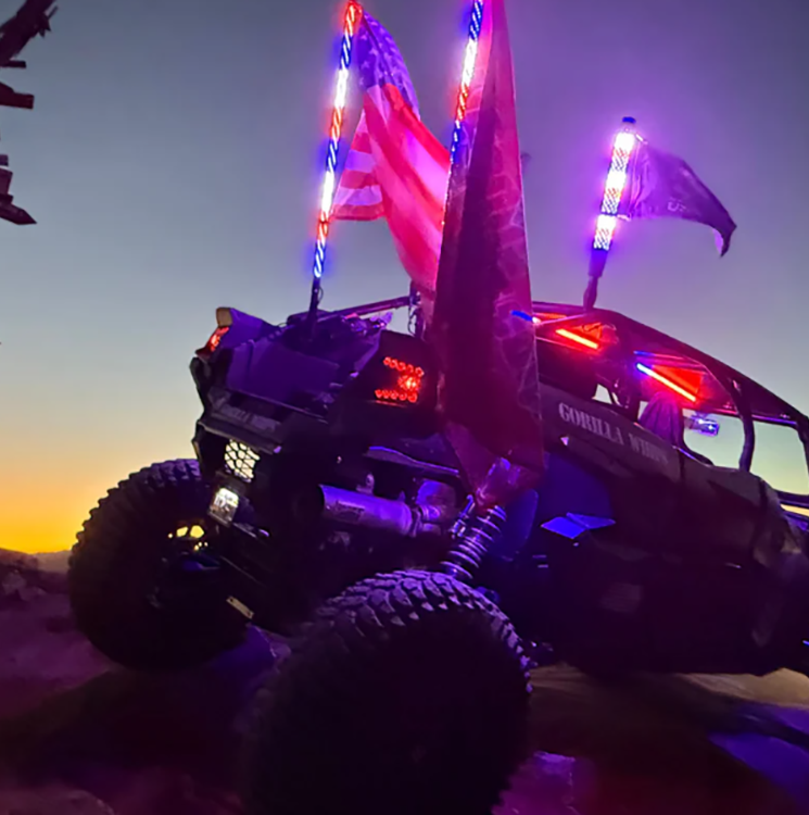 Gorilla Whips -Gorilla Whips dcf03ca2dee09eb69a971daf330fc5e4