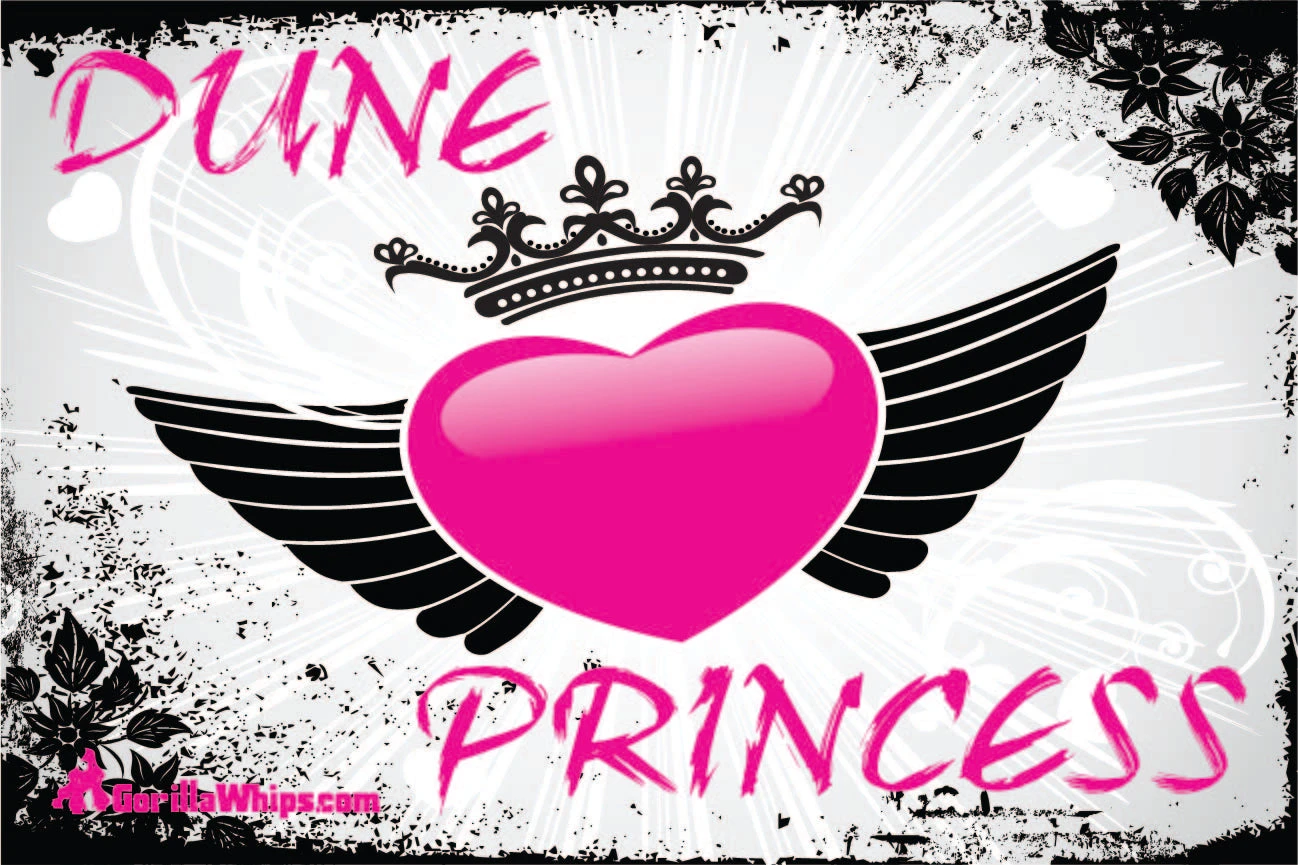 Dune Princess 2x3 Grommet Whip Flag 5 Dune Princess 2x3 Grommet Whip Flag - Image 3