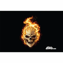 Flames Skull 3x5 Grommet Whip Flag