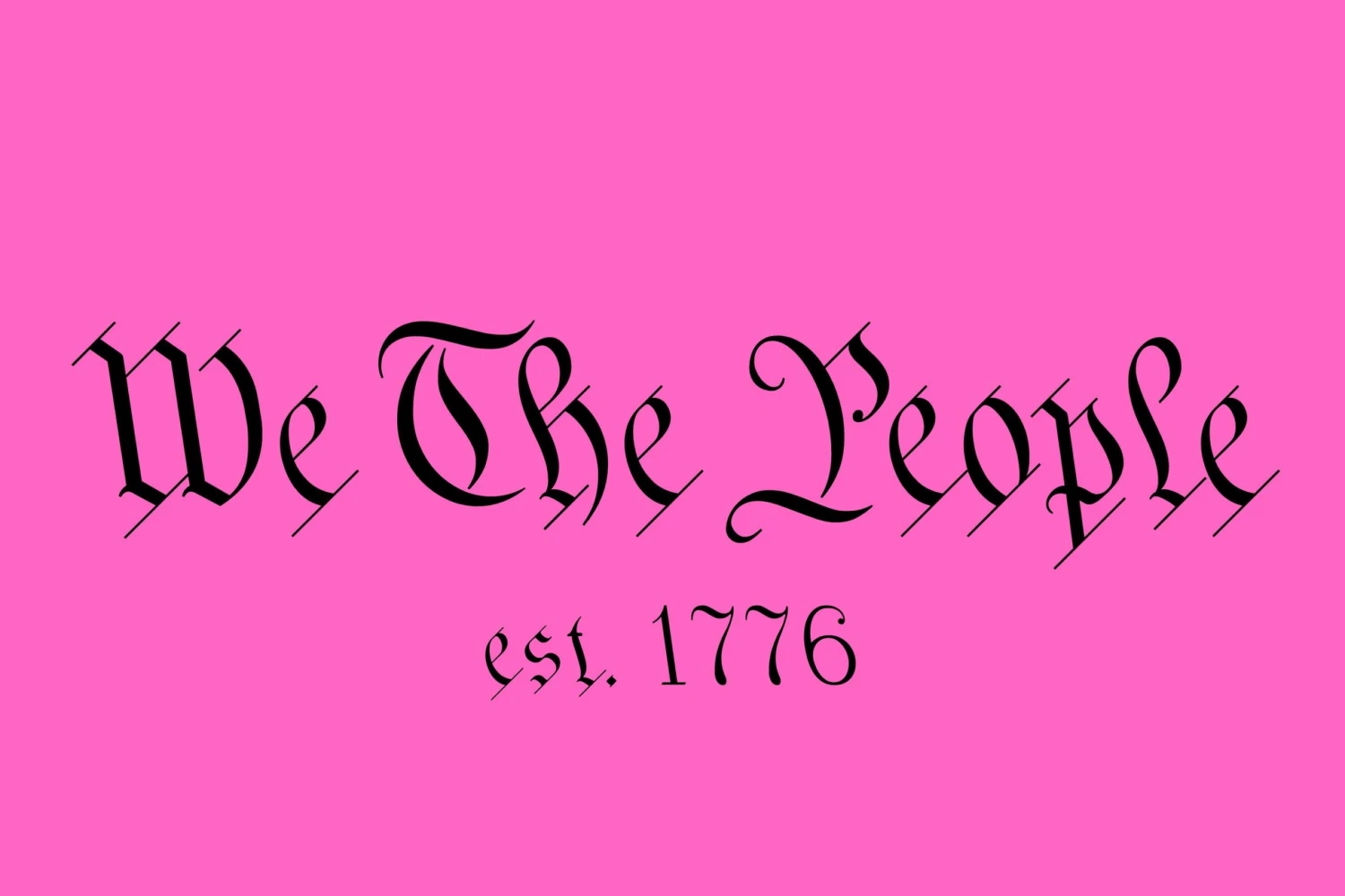 We The People Pink Flag USA 12x18 Grommet Whip Flag World's Most Durable Whip Flag 3 We The People Pink Flag USA 12x18 Grommet Whip Flag World's Most Durable Whip Flag